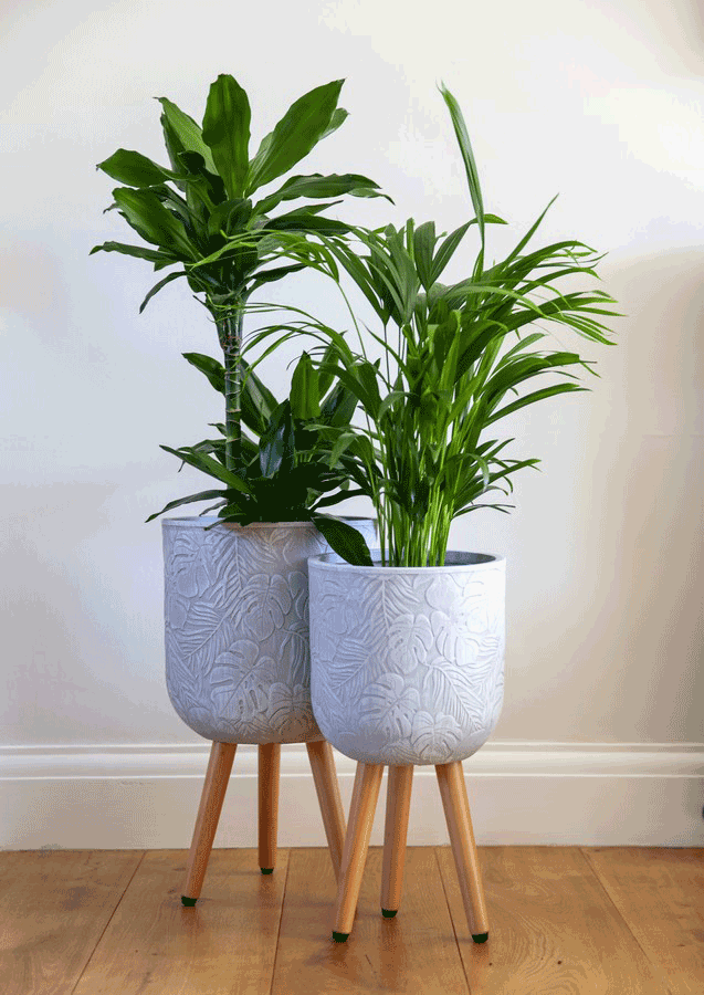 🌺 Tropical Patterned Indoor Planter - White Grey